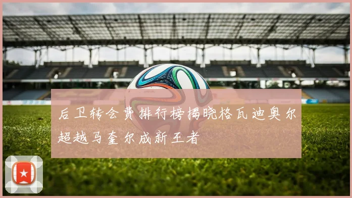 后卫转会费排行榜揭晓格瓦迪奥尔超越马奎尔成新王者