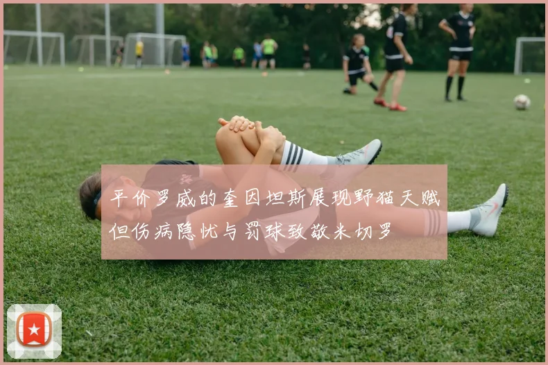 平价罗威的奎因坦斯展现野猫天赋但伤病隐忧与罚球致敬米切罗