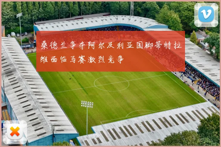桑德兰争夺阿尔及利亚国脚蒂特拉维面临马赛激烈竞争