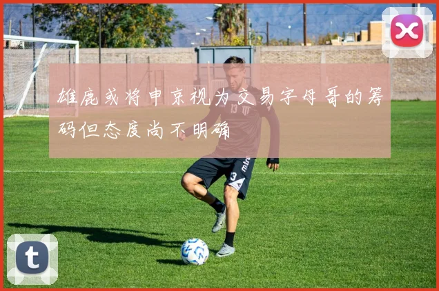 雄鹿或将申京视为交易字母哥的筹码但态度尚不明确